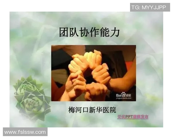 武汉滑板队意识表现的数据分析与探讨：团队协作与个体发展的关系研究