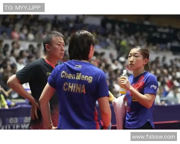 武汉乒乓球队的崛起与发展探讨聚焦乒乓球的力量与未来